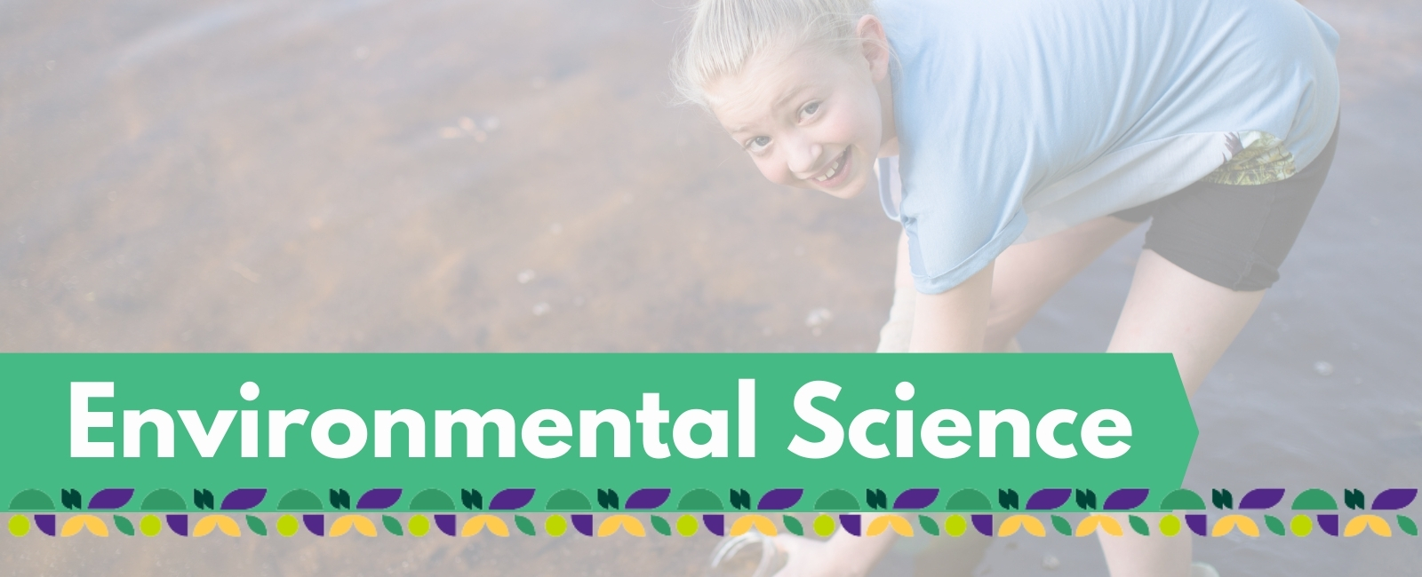 Environmental Science project banner with text